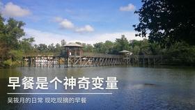 植物大战僵尸9